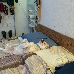 IMG_1277.jpeg