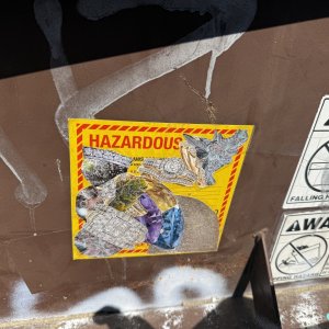 IMG_1325.jpeg