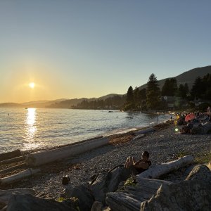 IMG_3446.jpeg
