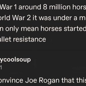 horsesofwar.jpg