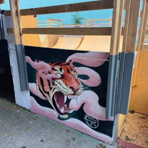 IMG_1372.jpeg