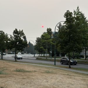IMG_3482.jpeg