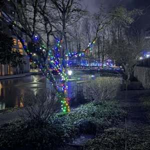 IMG_2753.jpeg