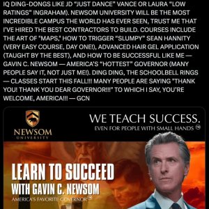Newsom ad.jpg
