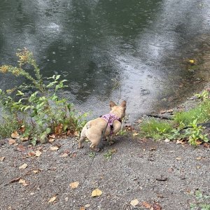 IMG_3522.jpeg