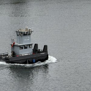 IMG_1428.JPG