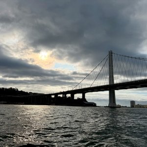 IMG_1498.jpeg
