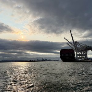 IMG_1500.jpeg