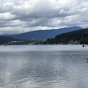 IMG_3566.jpeg