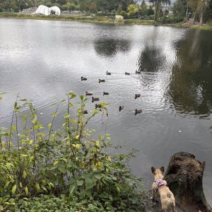 IMG_3583.jpeg