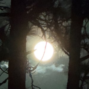IMG_0093.jpeg