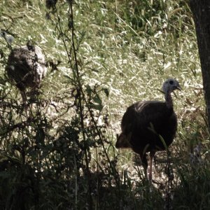 IMG_6395.jpeg