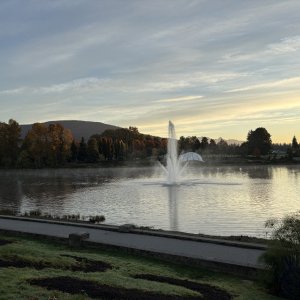 IMG_3600.jpeg