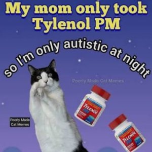 tylenol autism meme.jpeg