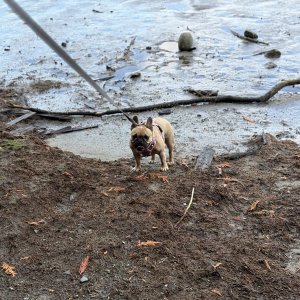 IMG_3611.jpeg