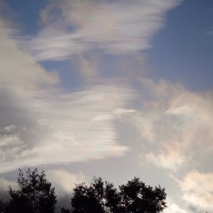 POTD October - 1_a.jpeg