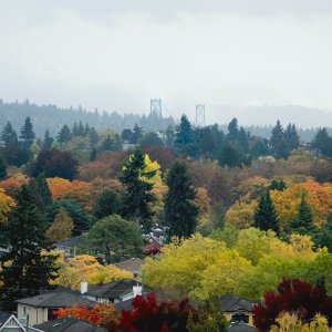 POTD October - 1_a.jpeg