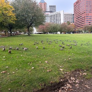 IMG_1568.jpeg