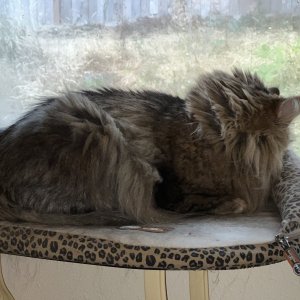 IMG_0150.jpeg