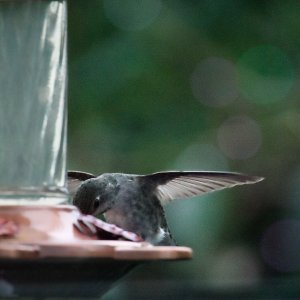 POTD October - 1_a 3.jpeg