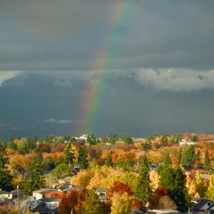 POTD October - 1_a 2.jpeg