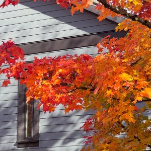 POTD October - 1 (2)_a.jpeg