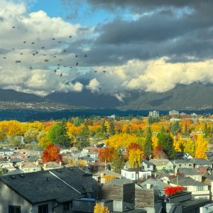 POTD October -a.jpeg