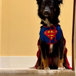 POTD November - 1_a.jpeg