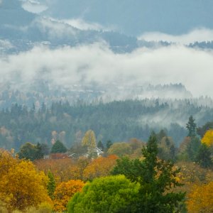 POTD November - 1_a 2.jpeg