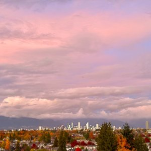 POTD November - 1_a.jpeg