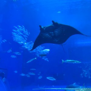 POTD November - 1_a 2.jpeg