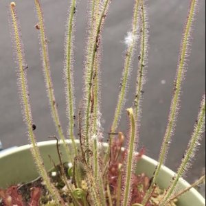 Screenshot 2025-11-07 at 6.54.13 AM.jpg