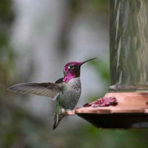 POTD November - 1_a.jpeg