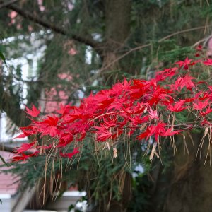 POTD November - 1_a 2.jpeg