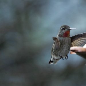 POTD November - 1_a 2.jpeg