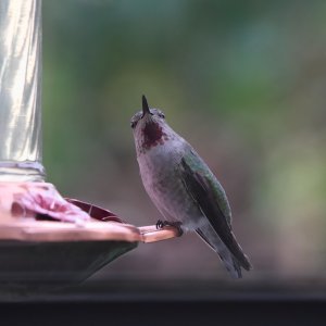 POTD November - 1 (1)_a.jpeg