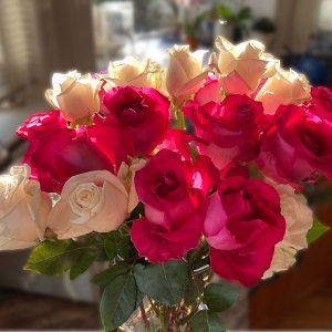 POTD November - 1_a 3.jpeg