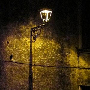 POTD November - 1_a 4.jpeg