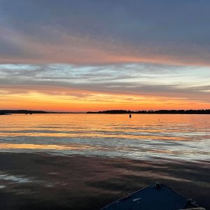 POTD November - 1_a 2.jpeg