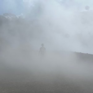 POTD November - a.jpeg