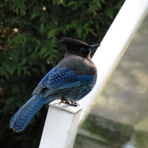 POTD November - 1_a 3.jpeg