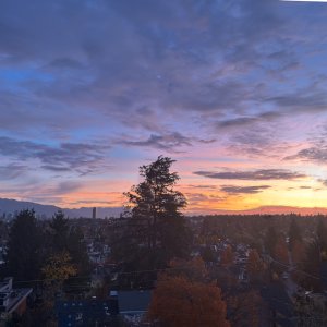 POTD November - 1_a.jpeg