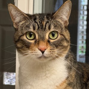 POTD November - 1_a 2.jpeg