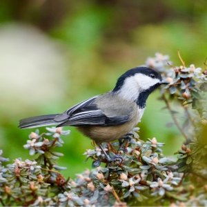 POTD December - 1_a.jpeg