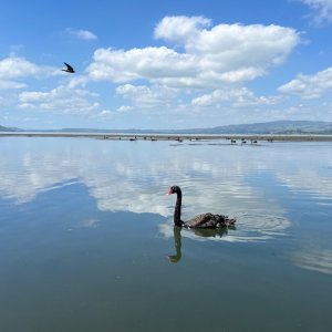 POTD December - 1_a.jpeg