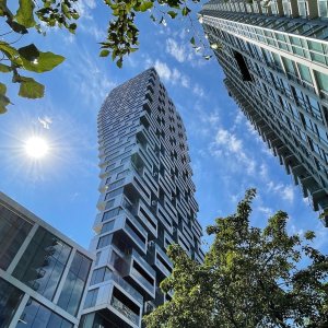 POTD January - 1_a 2.jpeg