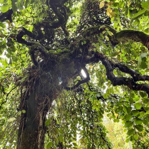 POTD January - 1_a.jpeg