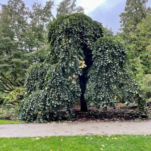 POTD January - 1 (1)_a.jpeg