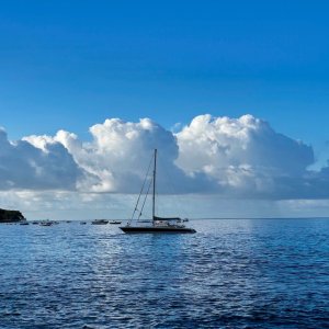 POTD February - 1_a.jpeg