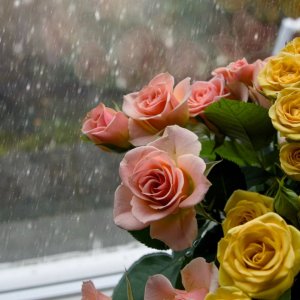 POTD February - 1_a.jpeg